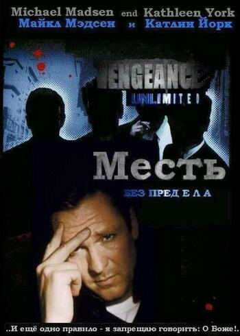 Месть без предела (1998) постер